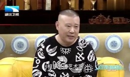 岳云鹏烧饼爆料视频,揭秘娱乐圈幕后真相