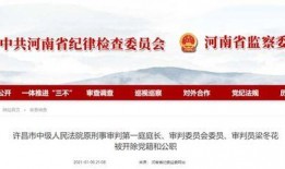 许昌热点爆料新闻视频,视频揭露惊人真相，引发社会关注！